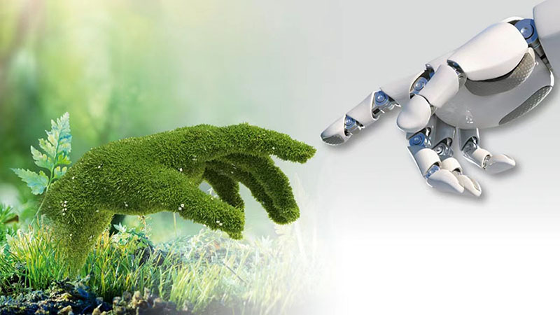 ඡායාරූපය -1 නිර්වචනය නොකළ එකක්